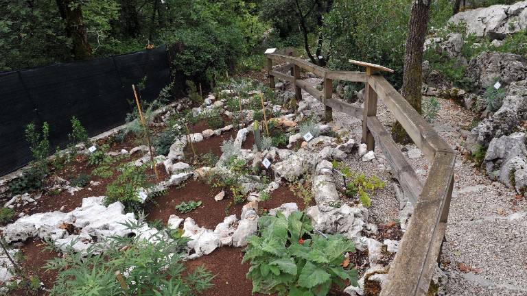 Sredozemski vrt sredi kra&scaron;kega habitata