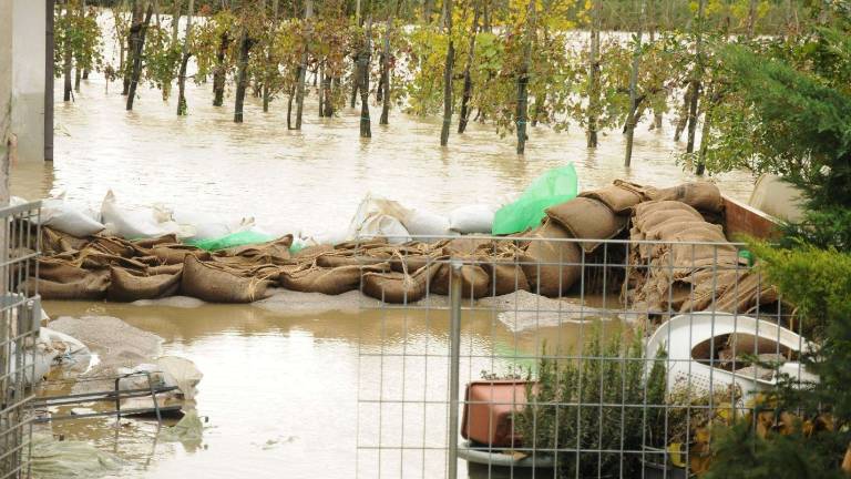 Vipava grozi, vreče brezplačno na voljo