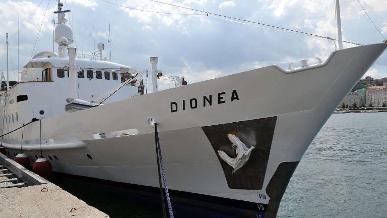 Dionea za 60 tisoč evrov