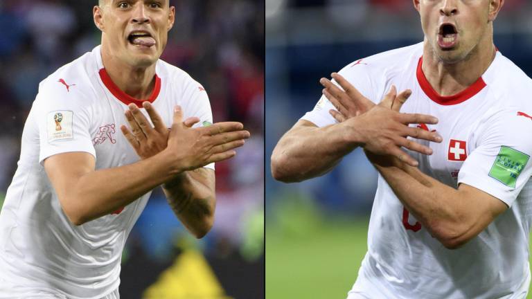 &Scaron;vicarjem kazen zaradi orla