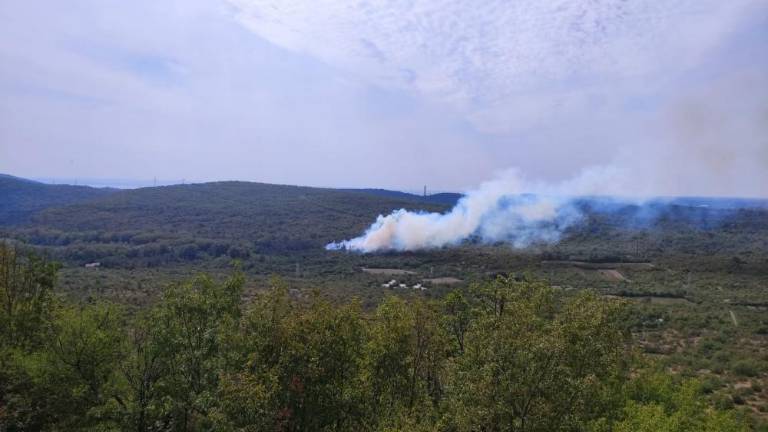 Požar je obvladan (video)