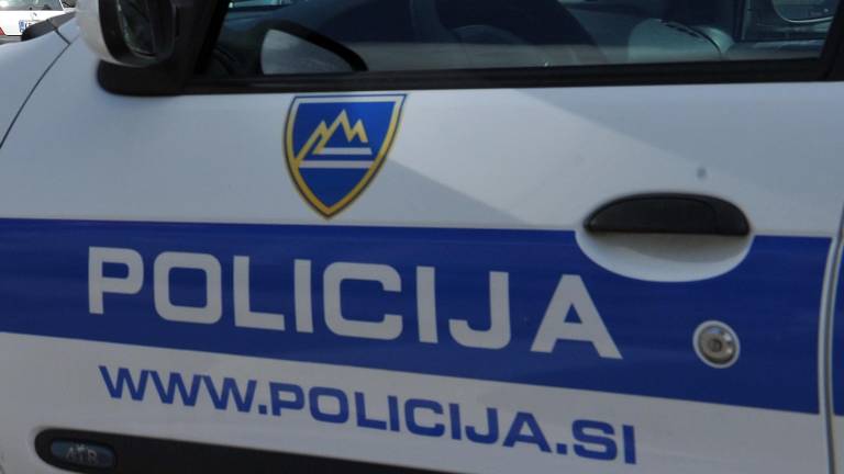 Prijeli roparja