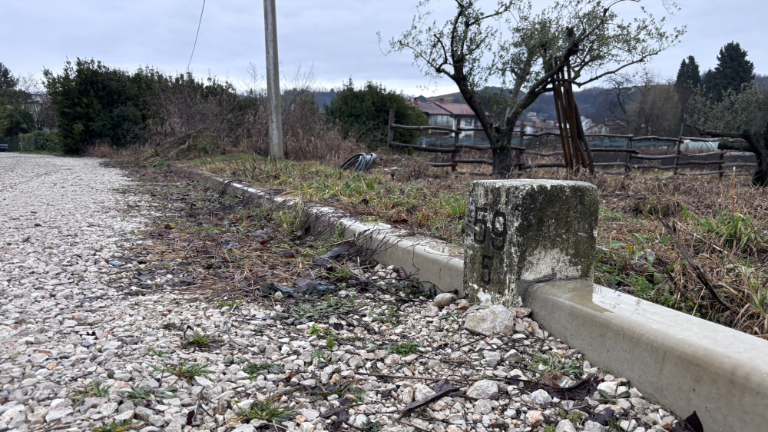 Zasadili so 60 dreves in skoraj 40 tisoč rastlin