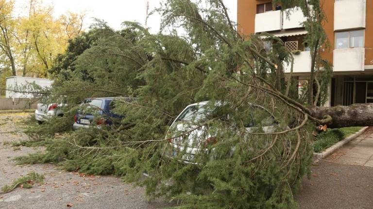 Da ne bo ranjenih in zvite pločevine ...