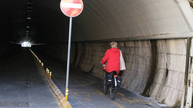 &raquo;Odprtje za promet zahtevajo le trgovci&laquo;