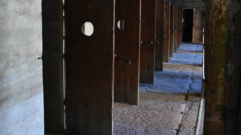 Dneva spomina: za holokavst 608, za fojbe pa 9500 evrov