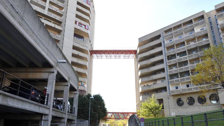 Na&scaron;li nasilna roparja z Melare