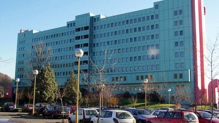 V četrt stoletja za polovico manj porodov