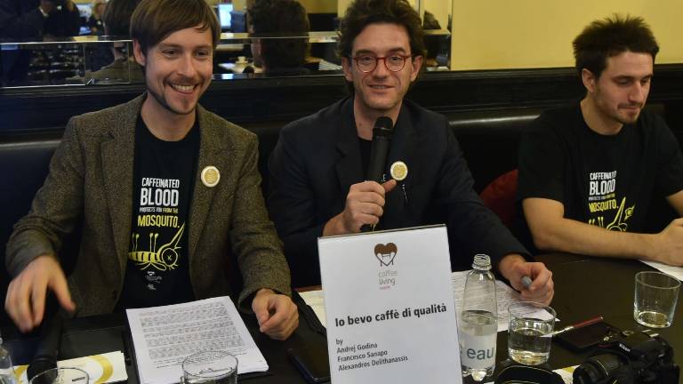 &Scaron;irijo kulturo kave