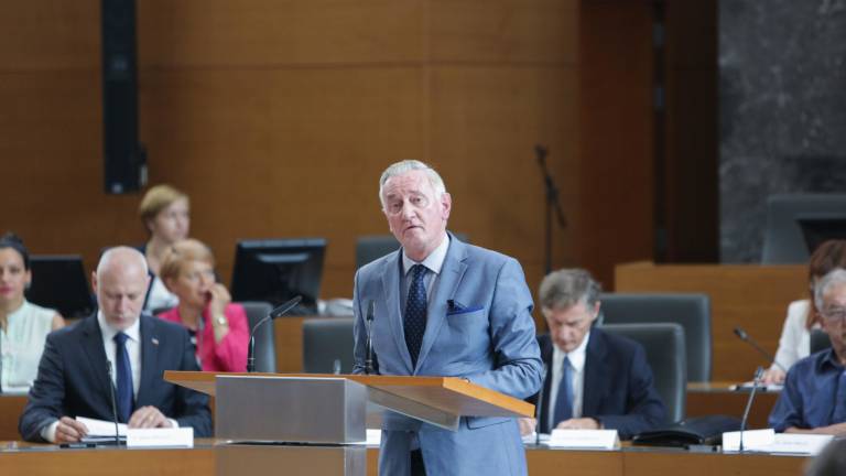 Žmavc: &raquo;Zgolj dru&scaron;tvena dejavnost je preživela&laquo;