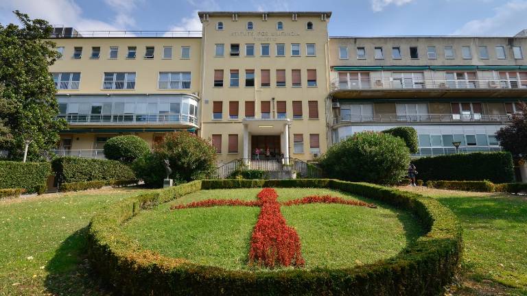 Rojena prva dojenčka spočeta z darovano celico