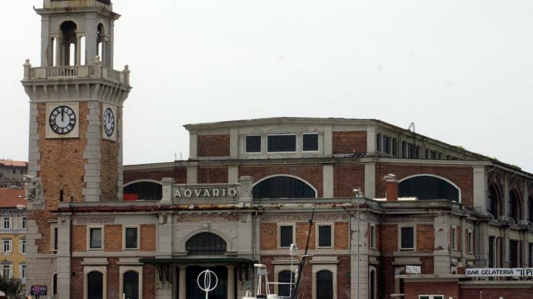 Za akvarij 1,3 milijona