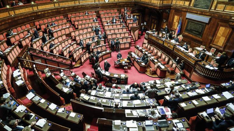 Tatjana Rojc na drugem mestu deželne liste DS za senat