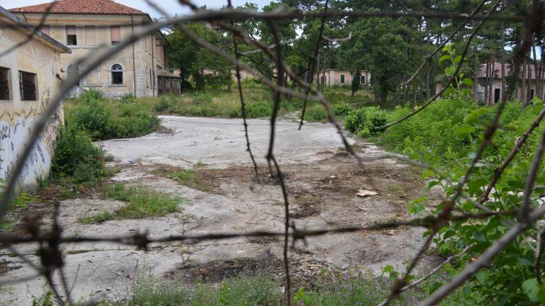 Arhitektka o razvojnih izzivih za voja&scaron;nico pri Banih