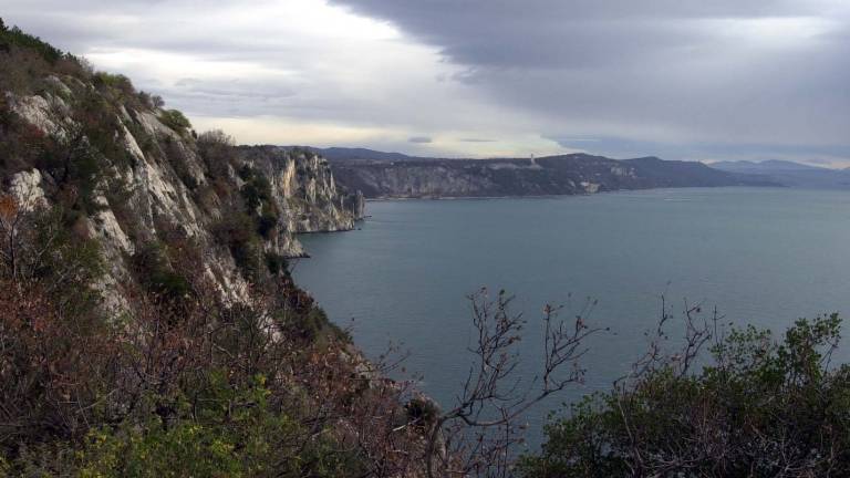 Morski pes: nevarnost je neznatna