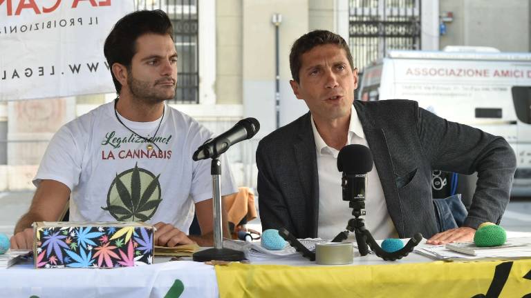 Legalizacija marihuane udarec za mafije