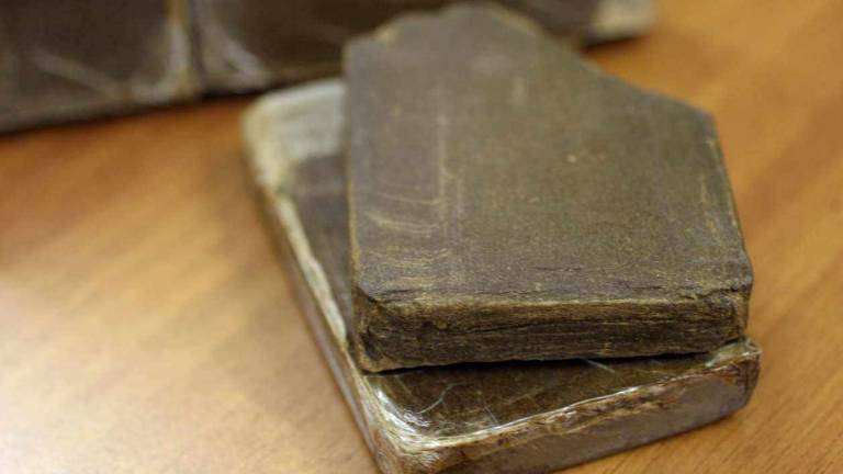 Ha&scaron;i&scaron; sta skrivala v čevljih