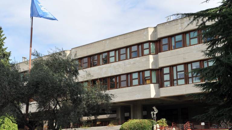 Pomagali bodo raziskovalcem z vojnih območij