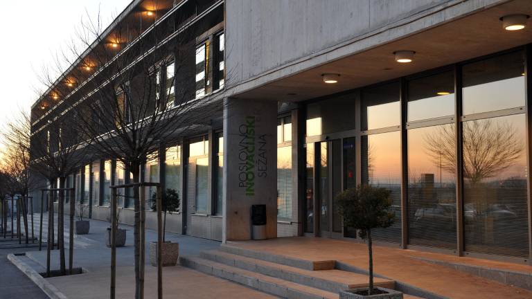 &Scaron;tevilo samozaposlenih v Sloveniji spet raste