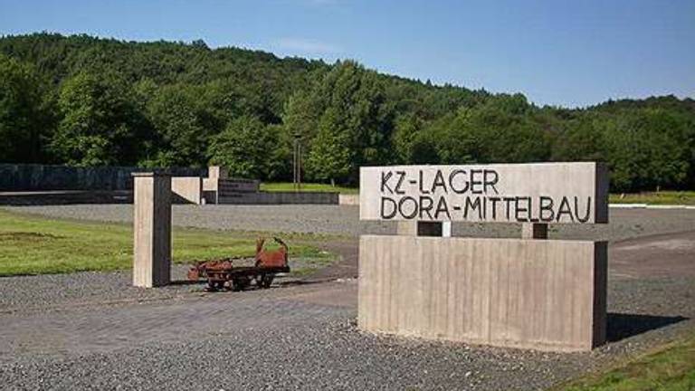 Breze v hvaležen spomin, ginko zato, da ne bi pozabili