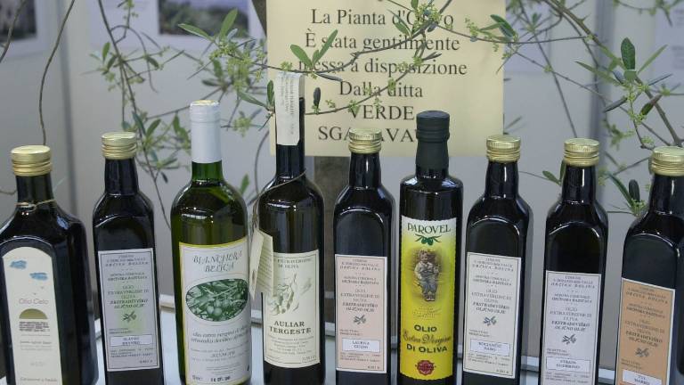 Združenje oljčnih mest praznovalo 15. obletnico