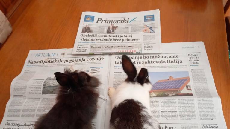 Tudi Windy in Sunny bereta Primorski dnevnik (<i>Mirela Furlan</i>)