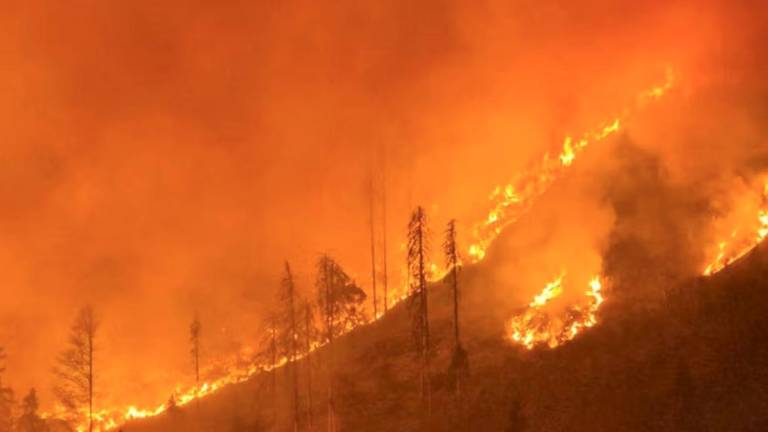 Na avstrijskem Koroškem od četrtka divja požar v naravi