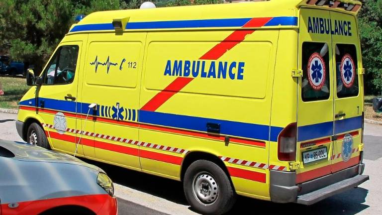 Med vožnjo zaspal in zapeljal v drevo