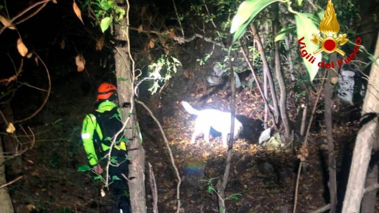 Med Devinom in Sesljanom iščejo žensko