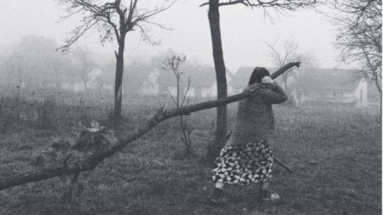 Vera, odnosi in enakopravnost teme letošnjega niza Razseljeni