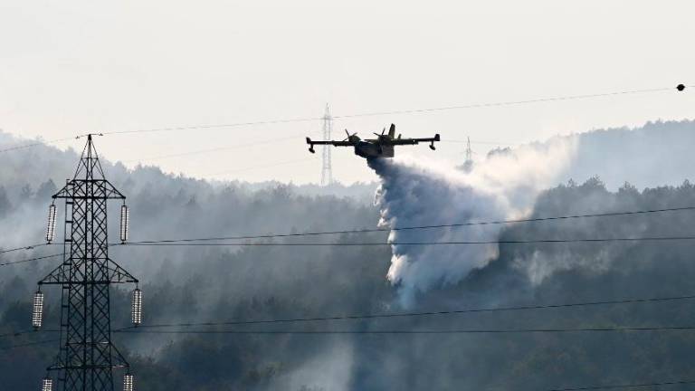 Požar pod nadzorom (foto in video)