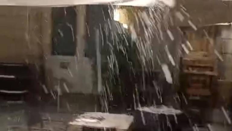 V Trstu sinoči klestila toča (video)