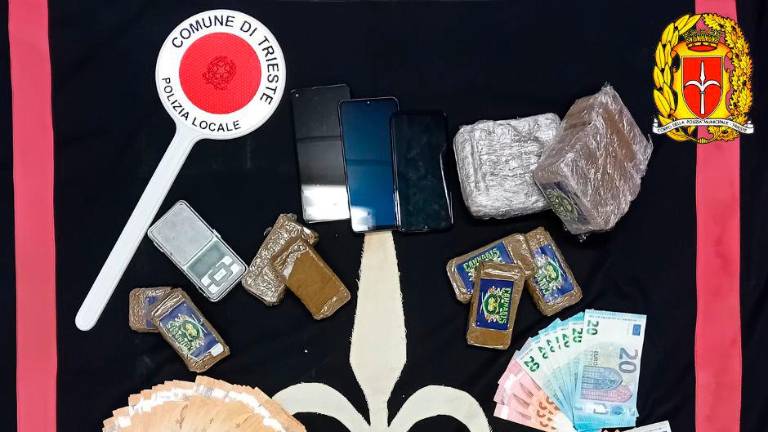 V avtomobilu sta skrivala dva kilograma hašiša