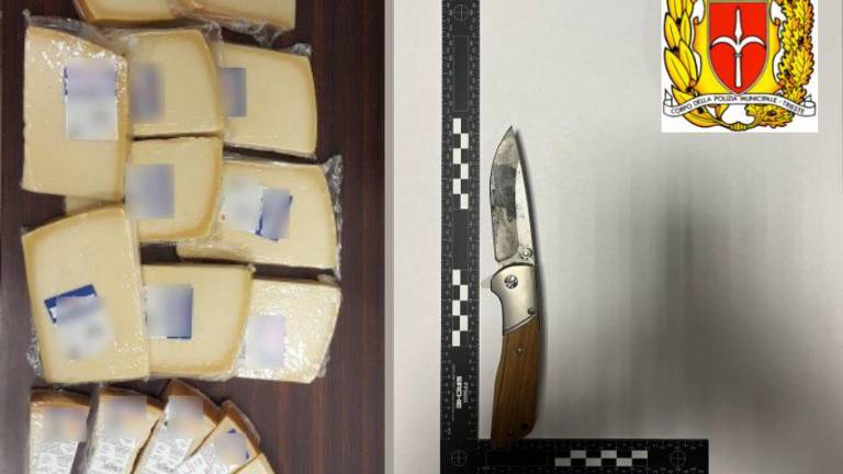 Ukradel deset kilogramov sira