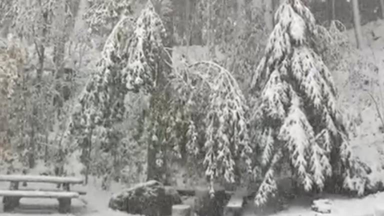 Na Lokvah je že snežilo, jutri morda nova pošiljka (video)