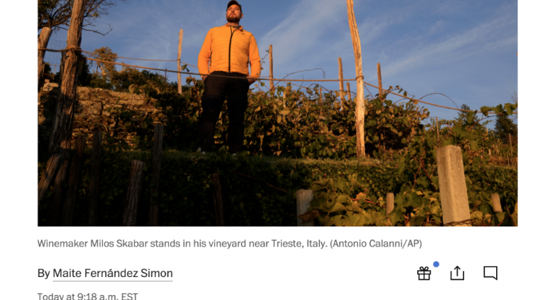 Washington Post o proseccu, prošeku in prosekarju