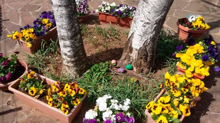 Po barvanju še »šticanje«