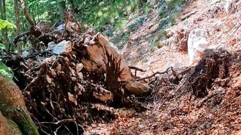 Padla kakih sto metrov po pobočju