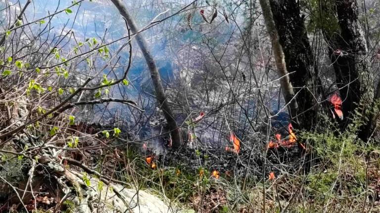 Na Nabrežinskem tudi s helikopterjem pogasili požar