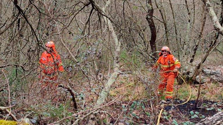 Na Nabrežinskem tudi s helikopterjem pogasili požar