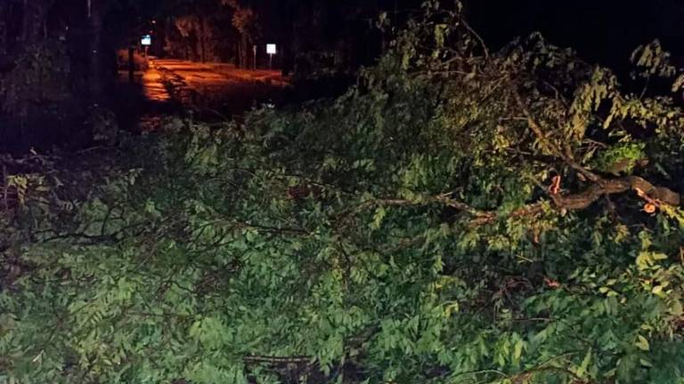 Na Goriškem ogromna škoda zaradi vremenske ujme