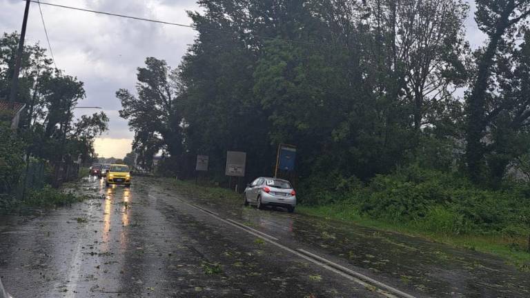 Na Goriškem pustošilo neurje (foto)