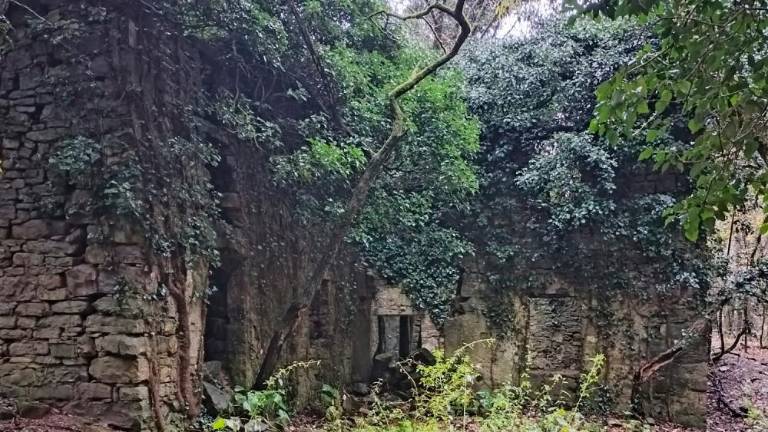 Postavili bodo informacijske table in popisali mline