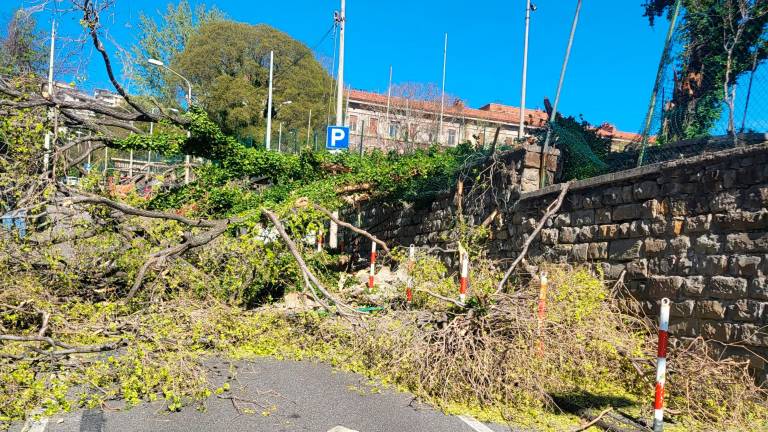 Burja s sunki do 111 km/h in visoko povprečno hitrostjo povzroča težave
