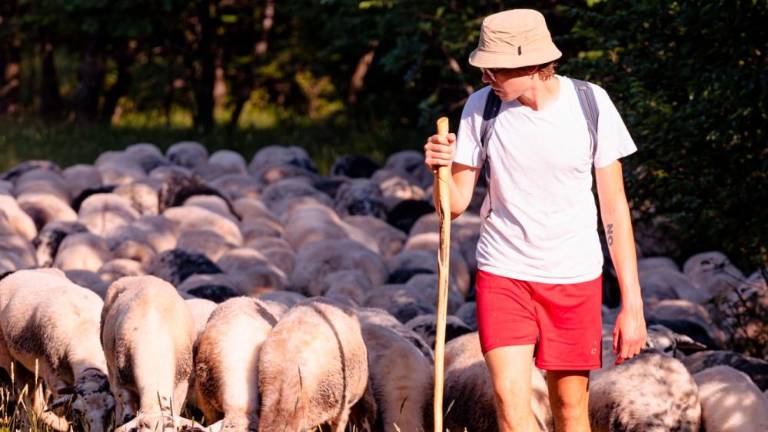 Tudi po Krasu počasna in trajnostna potovanja v znamenju kulinarike