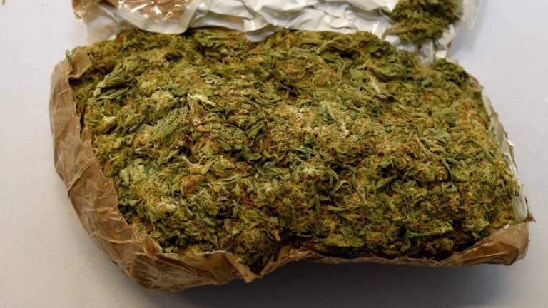 Vse več mladih si prižge »kanon«