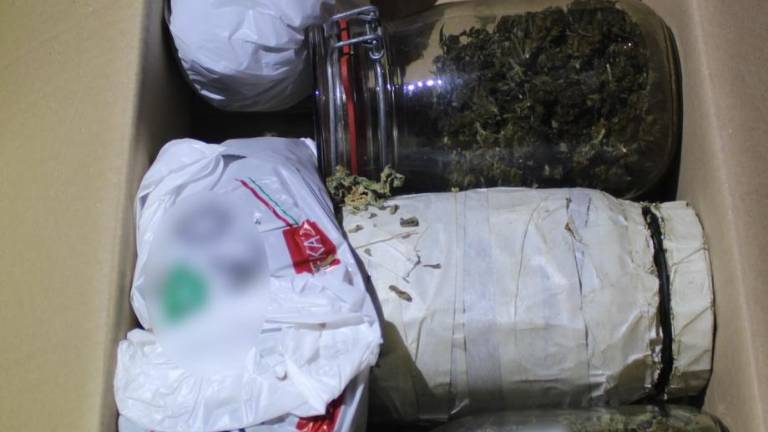 V hiši sta uredila plantažo konoplje