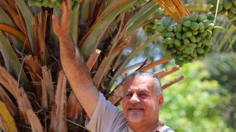 Solidarnostna akcija za palestinske pridelovalce