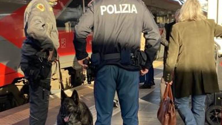 Kosmati Gaby zavohal drogo