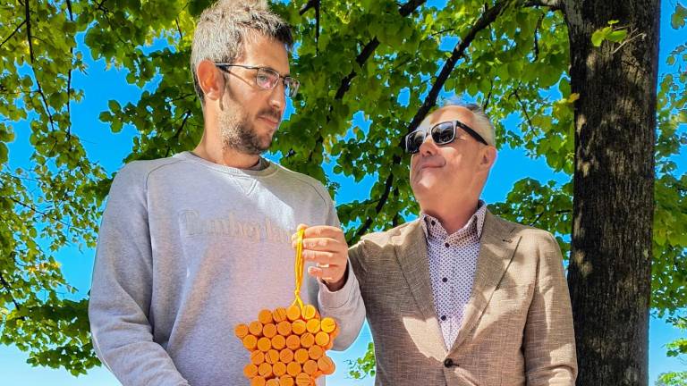 Kljub suši dobra letina oslavske rebule